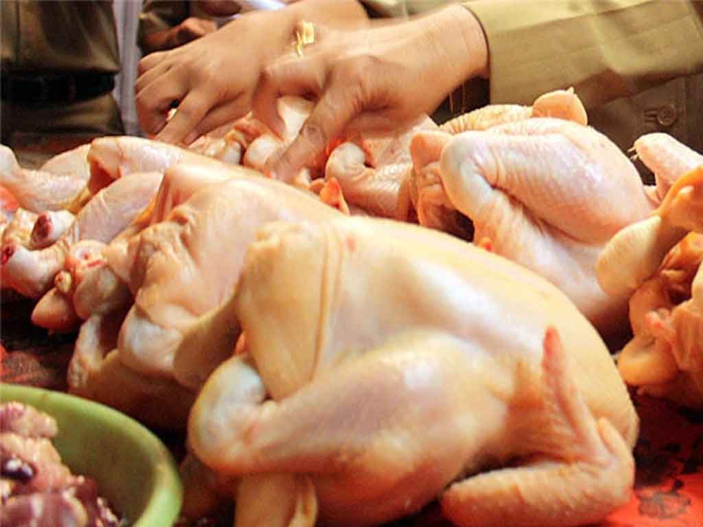 Tips Membedakan Daging Ayam Suntikan