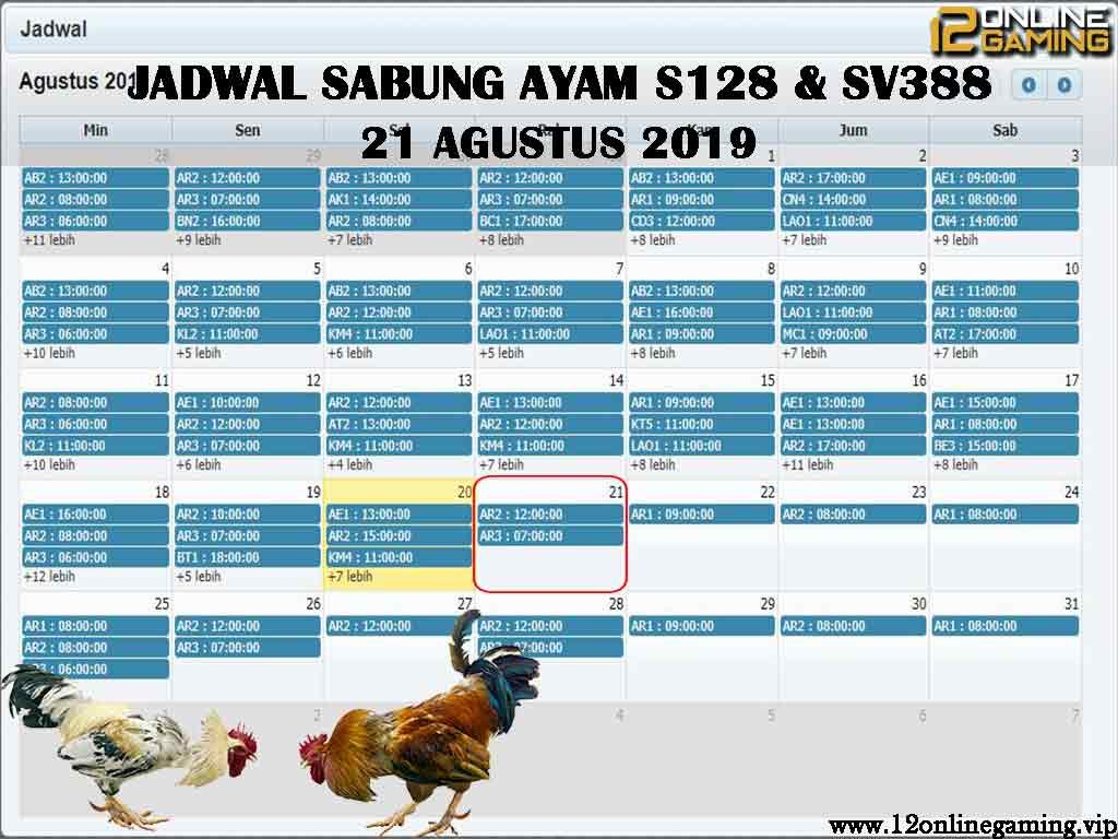 Jadwal Sabung Ayam S128 Dan SV388 21 Agustus 2019