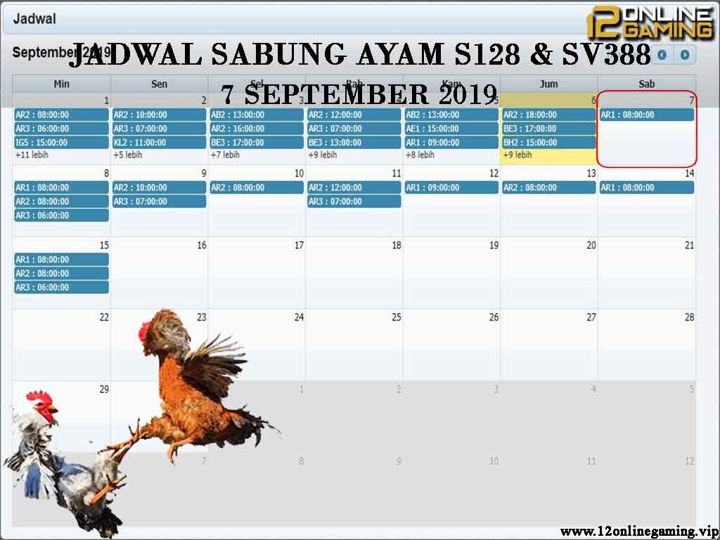 Jadwal Sabung Ayam S128 Dan SV388 7 September 2019